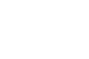 Logo axtron
